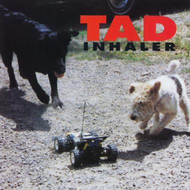 Tad -  Inhaler